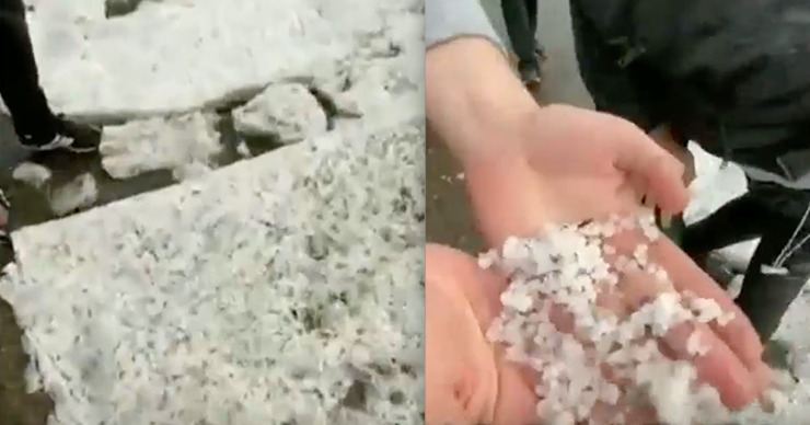 В нескольких районах Молдовы подсчитывают убытки после града.