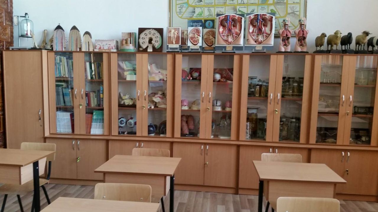 Кроме того, в таких кабинетах должны быть установлены умывальники с горячей водой, жидким мылом и одноразовыми салфетками.