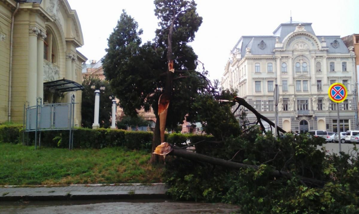 В Черновцах второй день подряд мощный ливень затапливает улицы города.