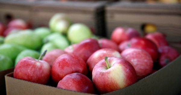 Молдавские грузоперевозчики не могут завозить продукцию в Россию.