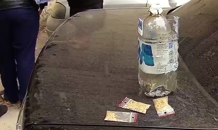 Если их признают виновными, им грозит наказание за хранение и употребление наркотических веществ.