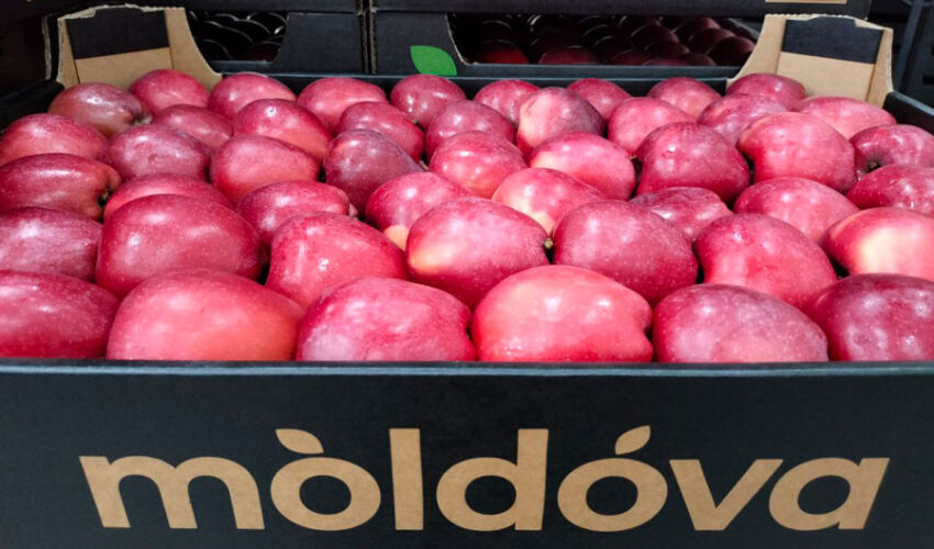 Pomicultorii moldoveni vor dobândi un birou.