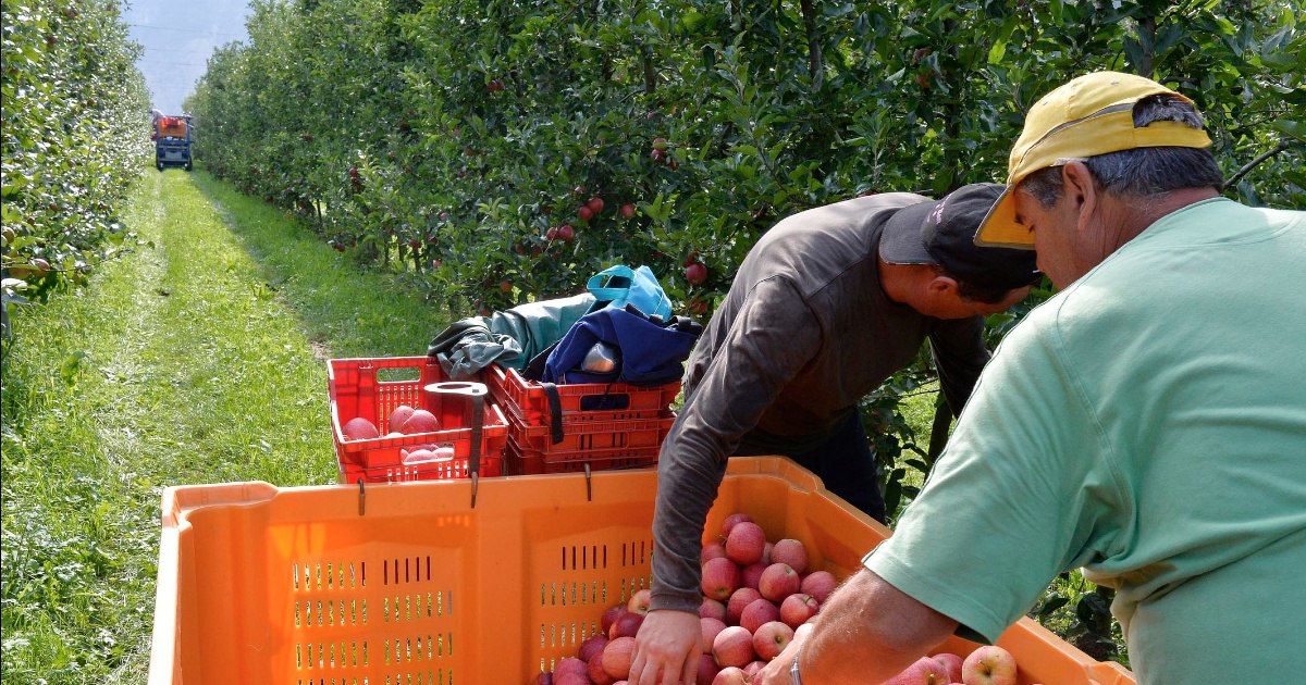 Зараженные COVID 20 румын и молдаванин сбежали из карантина в Италии.