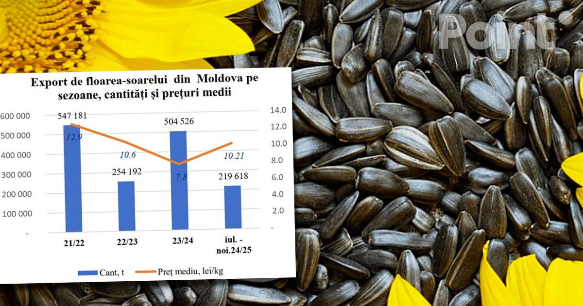 Floarea-soarelui atinge culmi istorice, dar industria de ulei pierde 66% din exporturi.