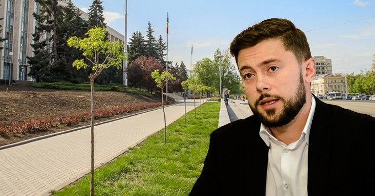 Киронда о зеленых насаждениях: Не хочу видеть спичек и палочек. Фото: Point.md