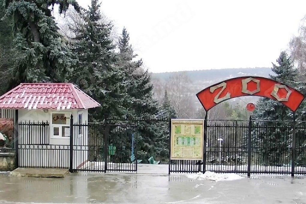 Вольеры, в которых живут животные, будут переоборудованы в соответствие с международными требованиями. Фото: cdn.allfun.md.