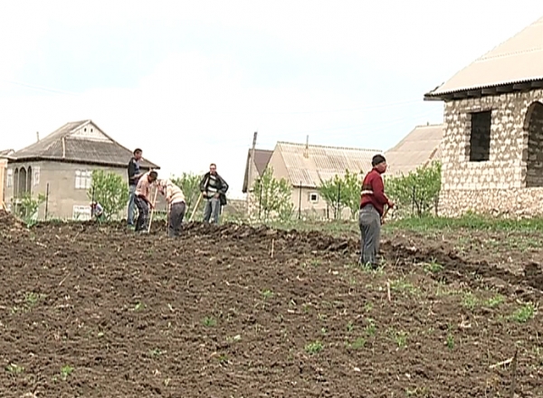 O zi de primavara hraneste un an. Asta si-au spus oamenii de la sate, care au marcat ziua muncii ... muncind.