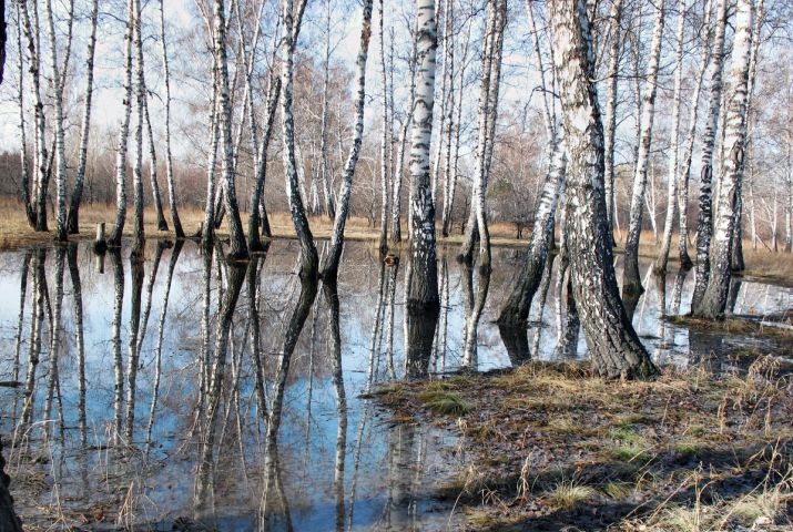 Соответствующий температурный режим последний раз был зарегистрирован в Молдове в 2011 году.