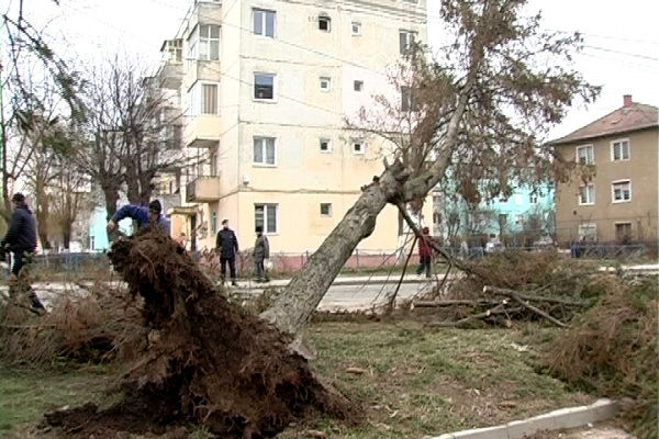Ожидается усиление северо-западного ветра с порывами до 15–20 м/с.