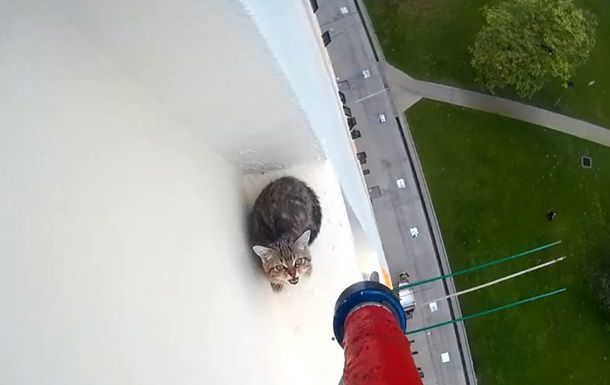 Спасение крошечного котенка с высотки тронуло Сеть.