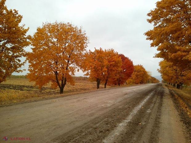 În luna noiembrie, de obicei, se înregistrează temperaturi medii lunare cuprinse între +2ºC în Nord și +5ºC în Sud.