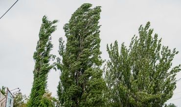 Синоптики объявили желтый уровень метеоопасности из-за сильного ветра.