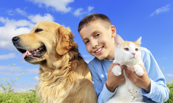 Astăzi se sărbătoreşte Ziua Internaţională a Animalelor, marcată în fiecare an la data de 4 octombrie.