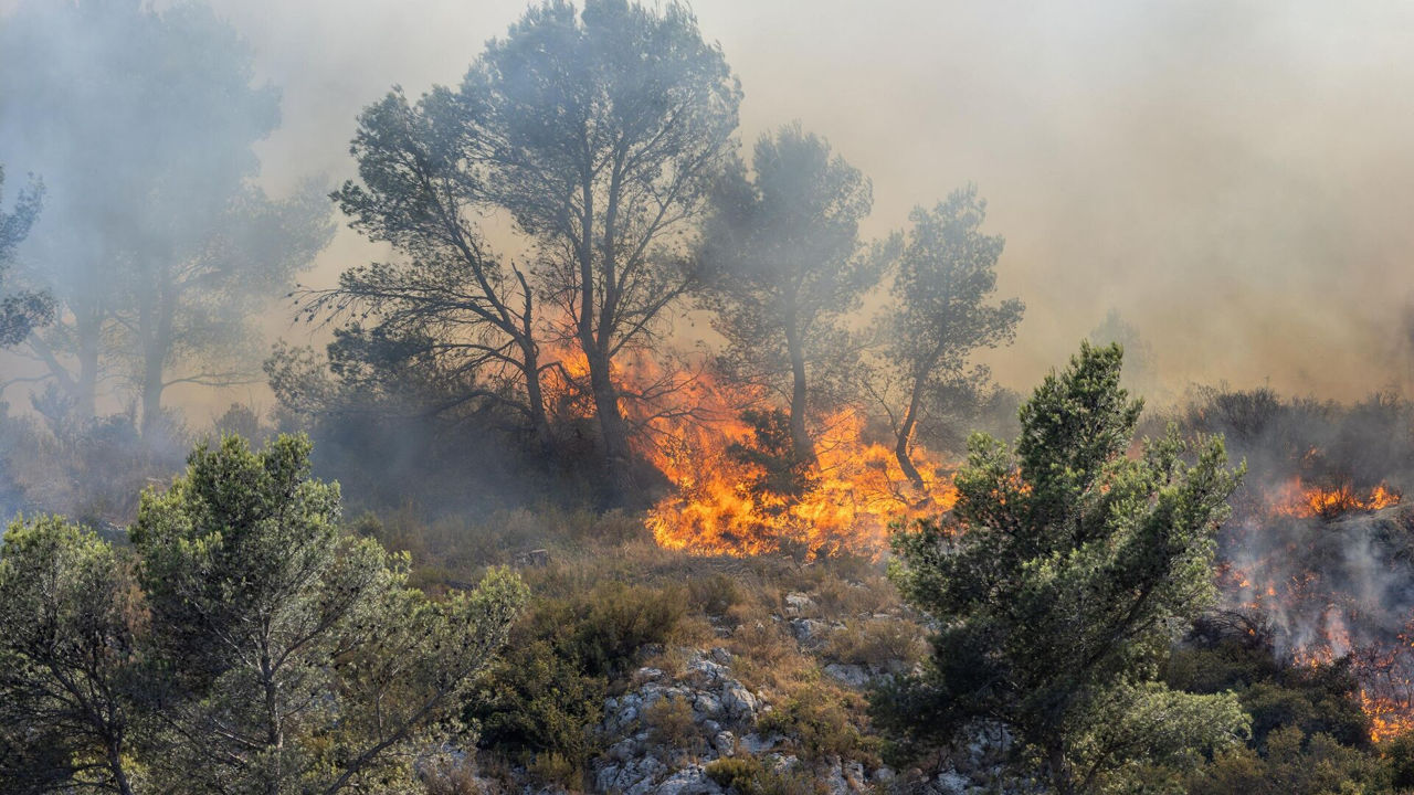Cel mai mare incendiu din Franța în 76 de ani, suspectat că a fost provocat intenționat.