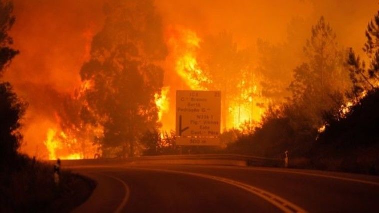 Incendii devastatoare de vegetaţie în Portugalia - cele mai mari din ultimele decenii. 