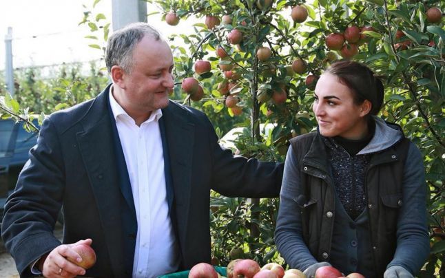 Igor Dodon susține că, în anul curent, în Rusia a fost exportată o cantitate record de mere moldoveneşti. 