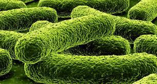 În plus, pacienţii nu au respectat şi încă nu respectă întocmai recomandările medicilor cu privire la situaţiile în care sunt cu adevărat necesare antibioticele.