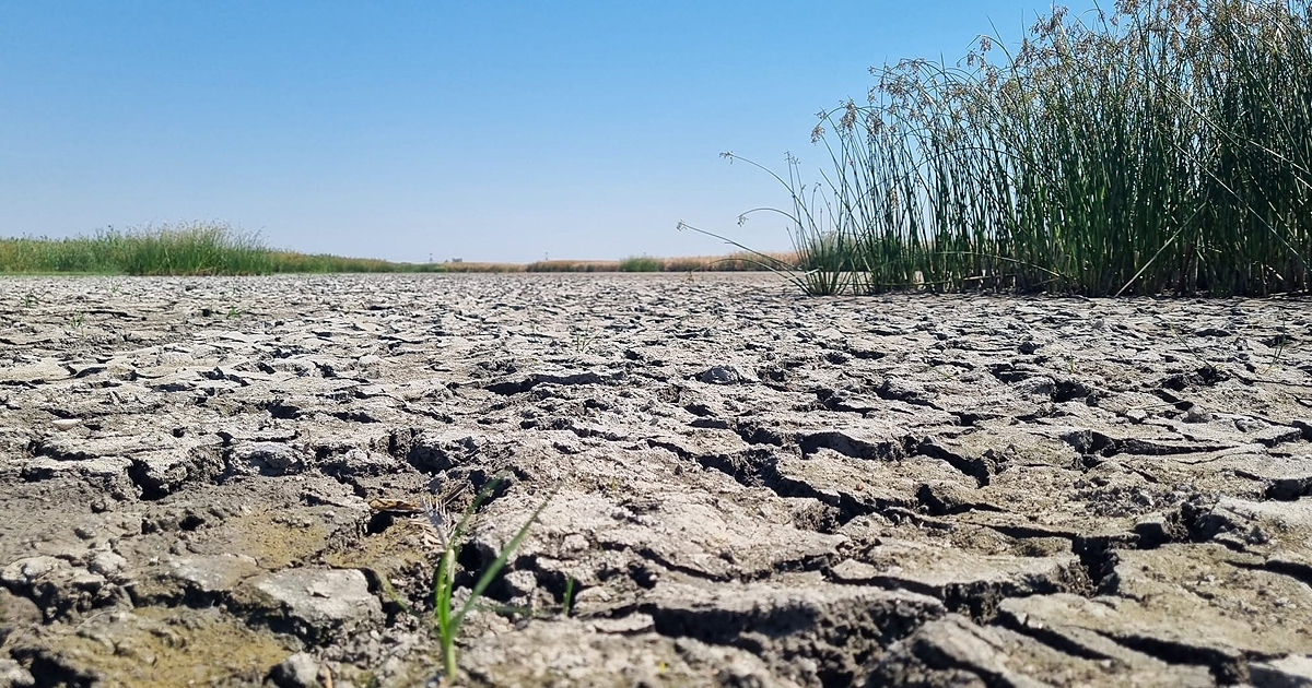 Un lac mare din România s-a uscat aproape complet.