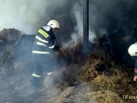 250 de vite, salvate dintr-un incendiu produs în localitatea Ghiliceni. Foto: dse.md
