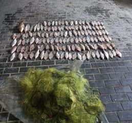 Погранполиция Молдовы задержала гражданина Украины с незаконным уловом рыбы.