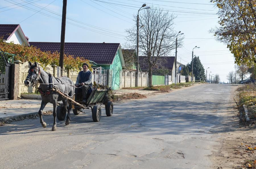 Ежегодно от пяти до семи тысяч молдаван переезжают из города в село.