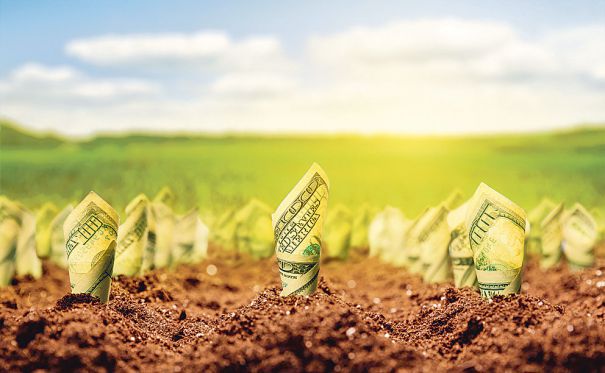 Agricultorii au primit doar 5% din valoarea subvenţiilor. Foto simbol: capital.ro