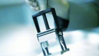 Первые семь государственных учреждений уже отменили обязанность предъявление выписок.