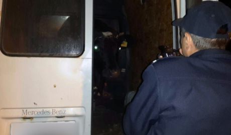 Молодые люди задержаны с поличным во время перевозки коровы в автомобиле.