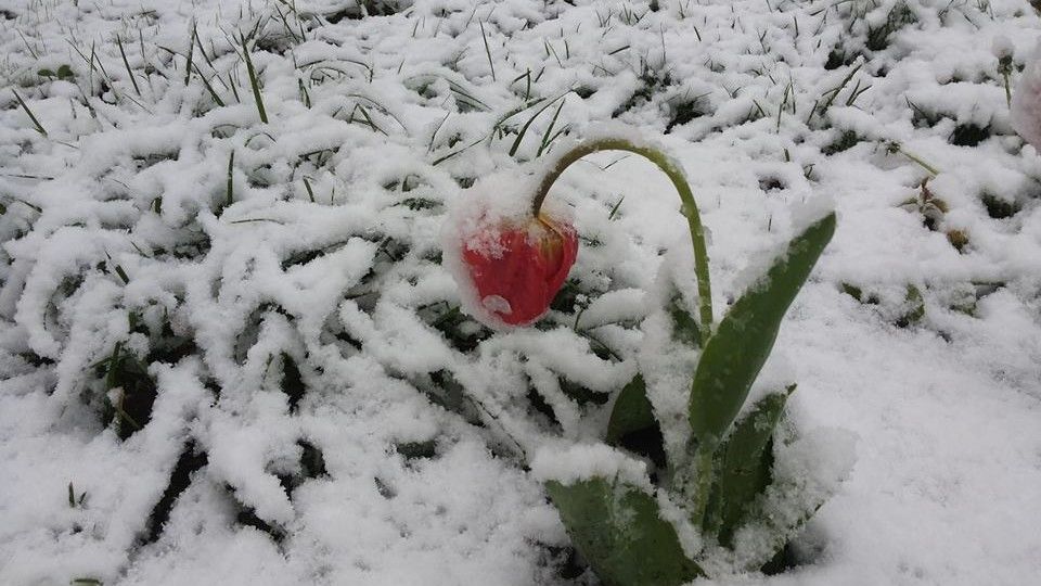 La moment, în agricultură nu sunt pagube majore. Foto: Otilian Alinescu