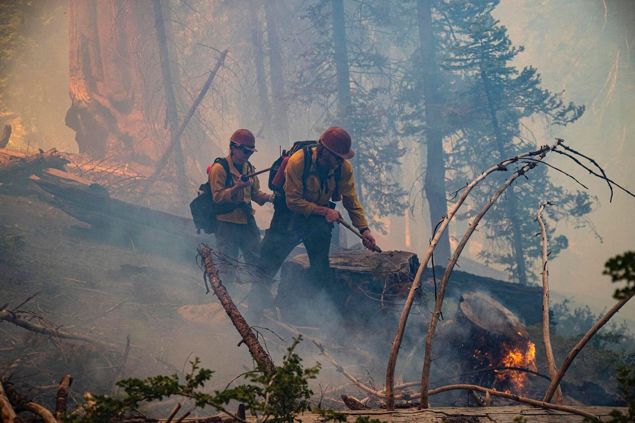 Канада продолжает бороться с одним из самых больших лесных пожаров за последние годы.
