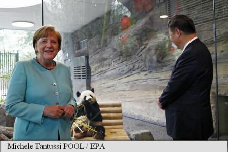 Merkel şi presedintele chinez, entuziasmați de doi urşi panda. Foto: Agerpres