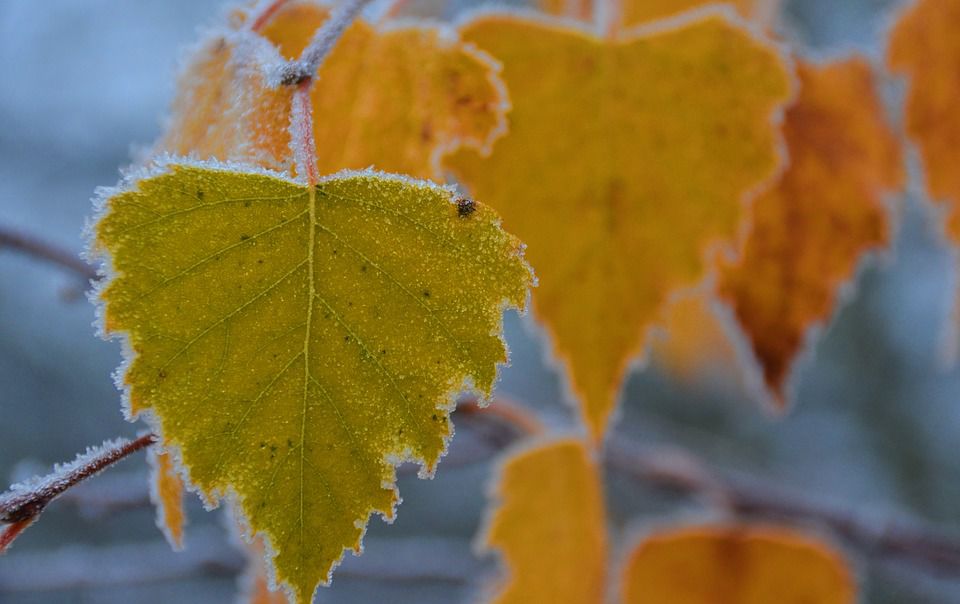 Ce temperaturi prognozează meteorologii pentru astăzi. Foto: PxHere