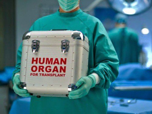 Насчитывается 15 боль­ниц, где можно проводить операции по сбо­ру органов.