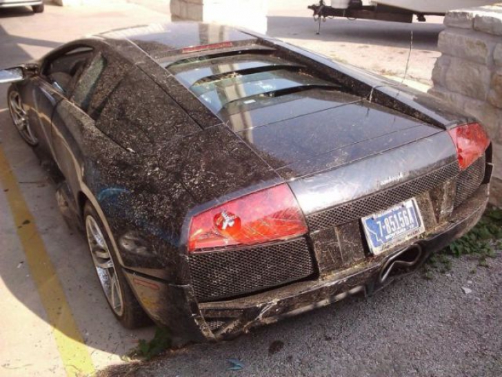 Un şofer care a plătit peste 300.000 de euro pentru un Lamborgini şi-a distrus maşina, iar imaginile au ajuns virale pe internet.