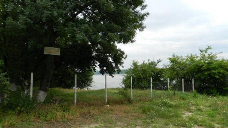 Doi oameni de afaceri au fost reţinuţi de CNA la Bălţi pentru defrişarea ilegală a pădurii. Foto: cna.md