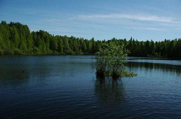 После дождей уровень воды в местном озере вырос почти на метр.