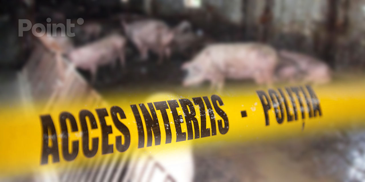 Crimă șocantă la Anenii Noi: Trei bărbați, uciși și dați ca hrană la porci.
