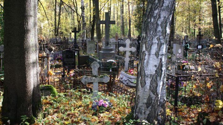 В Петербурге на кладбище нашли мертвым мужчину из Молдовы.