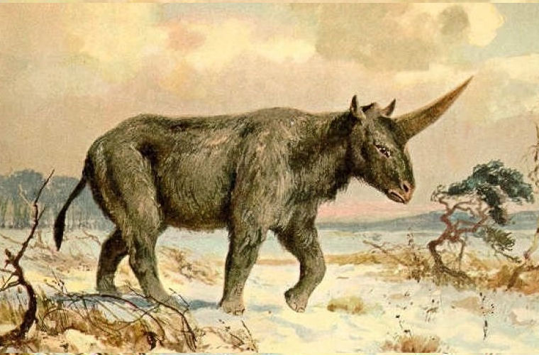 Археологи нашли сибирского единорога.