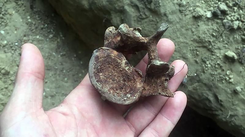 В парке Валя Морилор собрали не все человеческие останки.