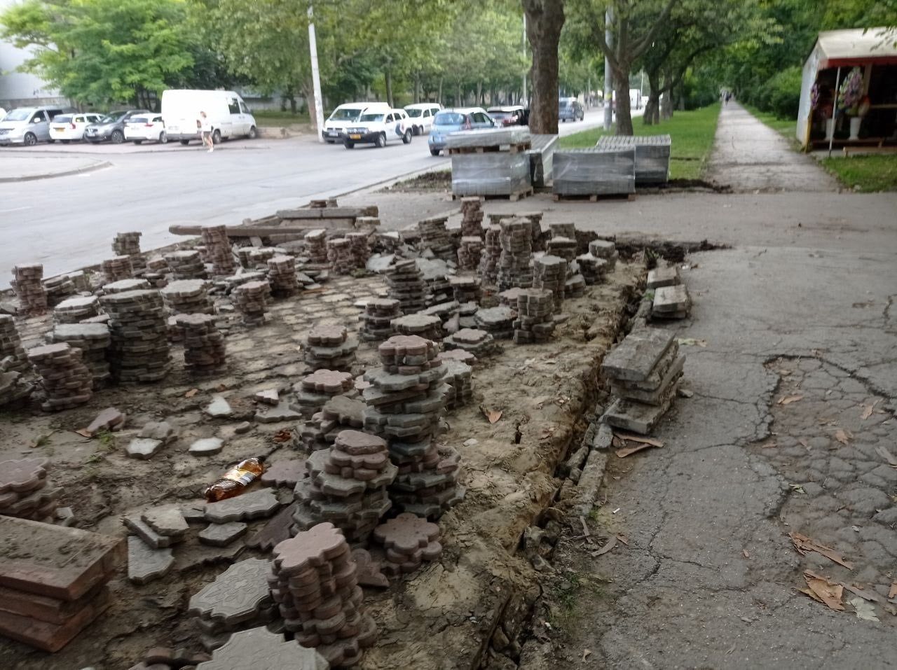На Ботанике появятся новые парковочные места и зеленая зона.