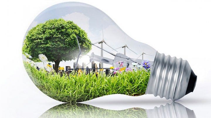 Economia verde în Moldova: Ce se întâmplă cu importul unor mașini