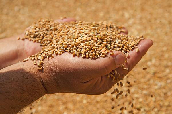 În Moldova nu există criză alimentară, dar sărăcia îi împiedică pe oameni să aibă o dietă sănătoasă.