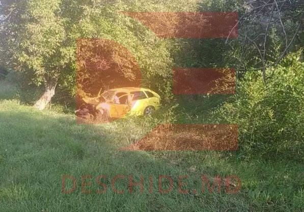 В Новых Аненах водитель уснул за рулём и врезался в дерево.