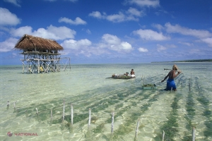 Kiribati, un grup de 33 de insule din Pacific, va dispărea mai devreme de finalul acestui secol.