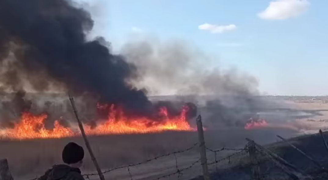 Пожар в природном заповеднике Moara Domnească: огонь уничтожил 40 га леса.