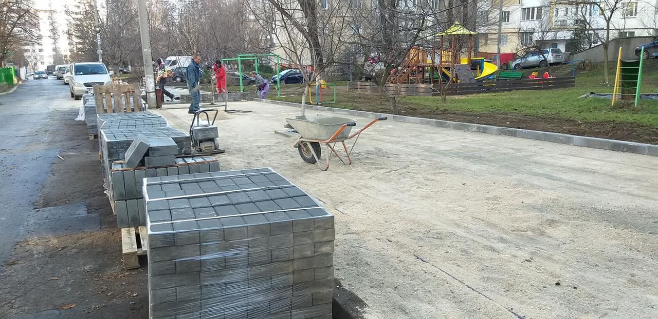 В секторе Ботаника продолжаются работы по благоустройству дворов.