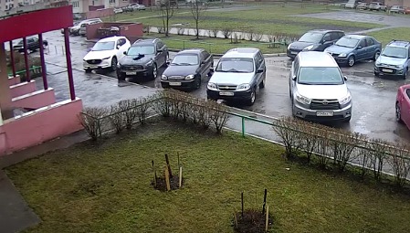 В интернете появилось видео, как на припаркованный у подъезда многоэтажного дома автомобиль Infiniti падает черный кот. 