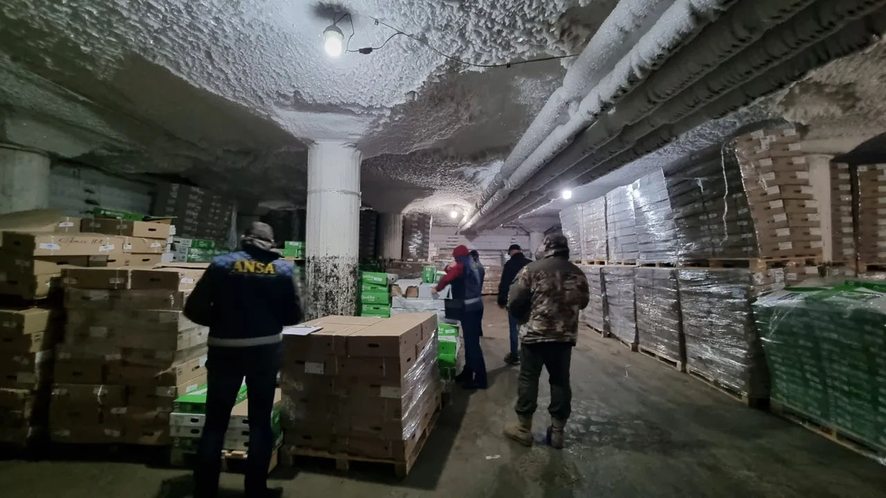 ANSA запретило к продаже 900 тысяч яиц с сальмонеллой и другие продукты.