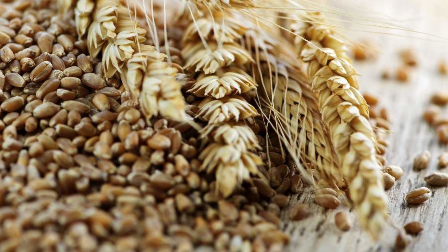 Ученые назвали полезные для здоровья и фигуры продукты.